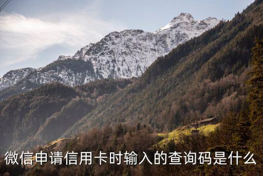 微信申請(qǐng)信用卡時(shí)輸入的查詢碼是什么