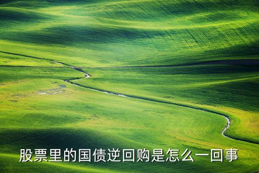 國(guó)債逆回購(gòu)為什么賣出，國(guó)債逆回購(gòu)為什么賣出了在我的收益中查不到
