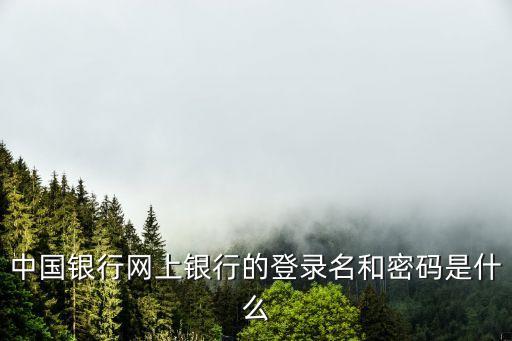 中國(guó)銀行網(wǎng)上銀行的登錄名和密碼是什么
