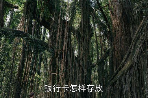 銀行卡怎樣存放