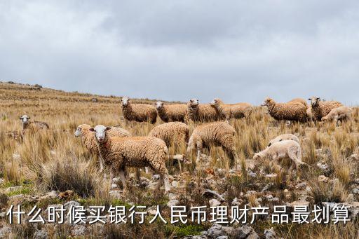 什么時候買銀行人民幣理財產(chǎn)品最劃算