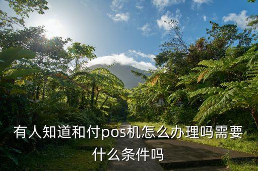 有人知道和付pos機(jī)怎么辦理嗎需要什么條件嗎