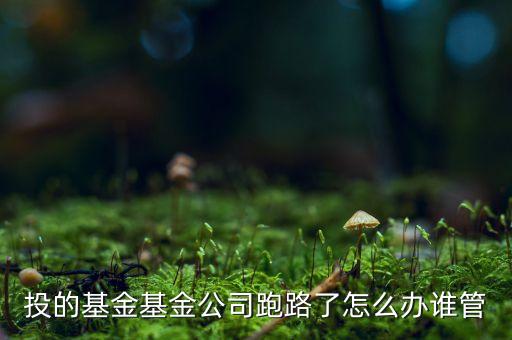 投的基金基金公司跑路了怎么辦誰管