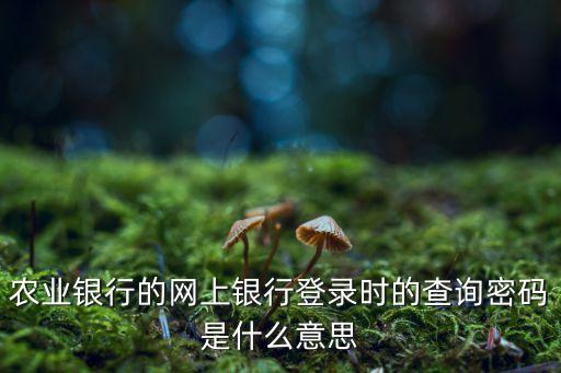 農(nóng)行的網(wǎng)站密碼是什么情況，中國農(nóng)業(yè)銀行網(wǎng)上銀行登陸密碼怎么回事