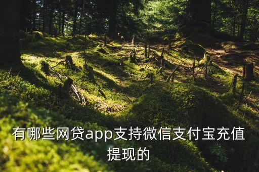有哪些網(wǎng)貸app支持微信支付寶充值提現(xiàn)的