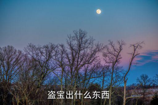 盜寶出什么東西