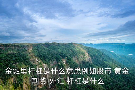金融里桿杠是什么意思例如股市 黃金 期貨 外匯 桿杠是什么