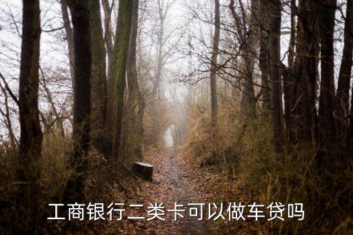 工行二類卡能干什么，工商銀行二類卡 能正常打工資嗎