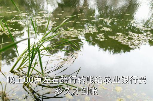 晚上00點(diǎn)左右跨行轉(zhuǎn)賬給農(nóng)業(yè)銀行要多久才到帳