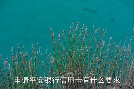 申請(qǐng)平安銀行信用卡有什么要求