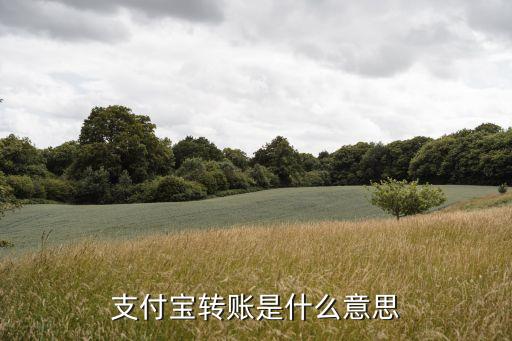 用支付寶卡卡轉(zhuǎn)賬是什么意思，支付寶轉(zhuǎn)賬是什么意思