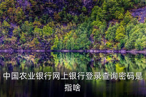 中國農(nóng)業(yè)銀行網(wǎng)上銀行登錄查詢密碼是指啥