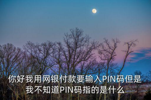 銀行6位pin碼是什么，你好我用網(wǎng)銀付款要輸入PIN碼但是我不知道PIN碼指的是什么