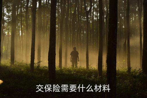 買壽險需要什么資料，交保險需要什么材料