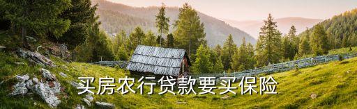 買房農(nóng)行貸款要買保險(xiǎn)