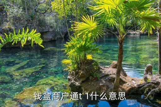 錢盒商戶通t 1什么意思