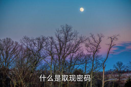 什么是取現(xiàn)密碼