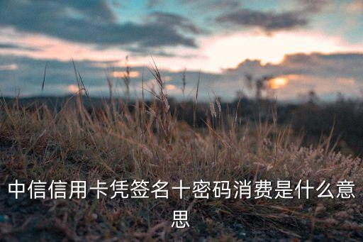 中信信用卡憑簽名十密碼消費是什么意思