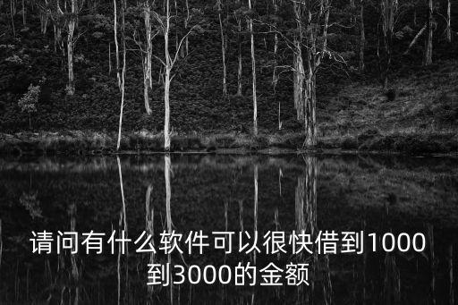 請問有什么軟件可以很快借到1000到3000的金額