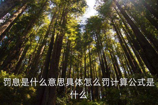 罰息是什么意思具體怎么罰計算公式是什么