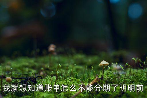 我就想知道賬單怎么不能分期了明明前