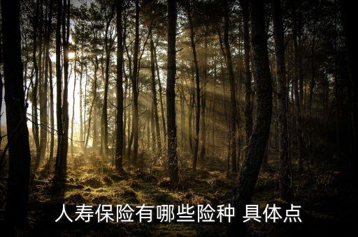 人壽保險(xiǎn)有哪些險(xiǎn)種 具體點(diǎn)