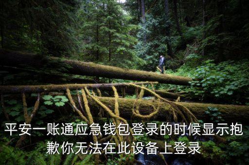 平安一賬通應(yīng)急錢包登錄的時(shí)候顯示抱歉你無(wú)法在此設(shè)備上登錄