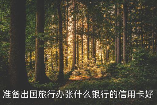 出國能用什么信用卡嗎，出國旅游用什么信用卡最好
