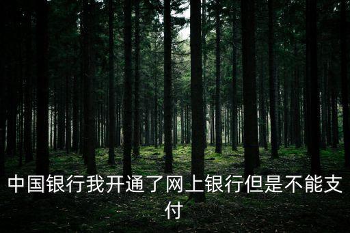 中國(guó)銀行我開(kāi)通了網(wǎng)上銀行但是不能支付