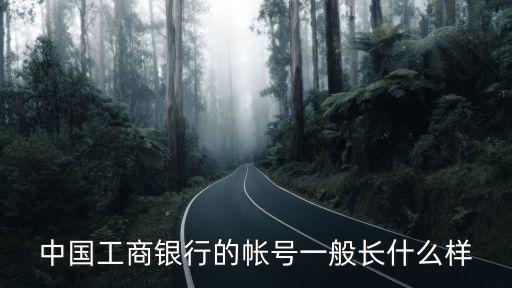 中國工商銀行的帳號一般長什么樣