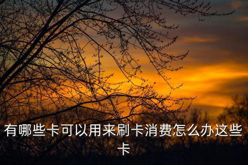 有哪些卡可以用來刷卡消費(fèi)怎么辦這些卡