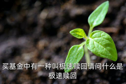 買基金中有一種叫極速贖回請問什么是極速贖回