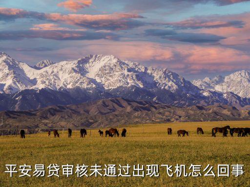 平安易貸飛機(jī)是什么意思，平安易貸審核未通過(guò)出現(xiàn)飛機(jī)怎么回事