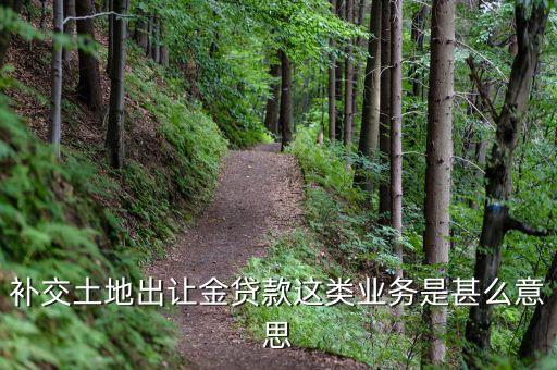 補(bǔ)交土地出讓金貸款這類(lèi)業(yè)務(wù)是甚么意思
