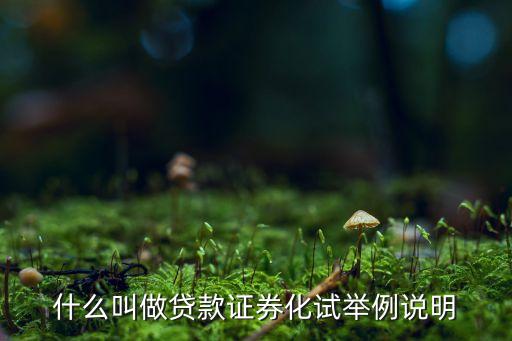 什么叫做貸款證券化試舉例說明