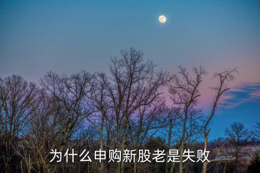 我為什么打不上新股，為什么我在上海A股已經(jīng)有了10000的市值股票怎么還申購不了新股