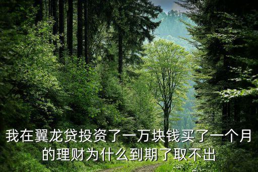 翼龍貸為什么取不出錢，翼龍貸官網(wǎng)你好提現(xiàn)提不了說我的卡省份為空要我到翼龍貸官網(wǎng)