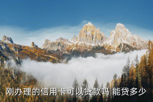 剛辦理的信用卡可以貸款嗎 能貸多少
