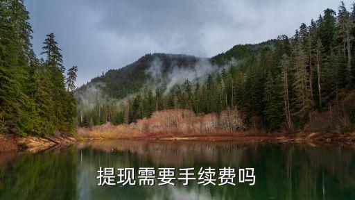 提現(xiàn)需要手續(xù)費嗎