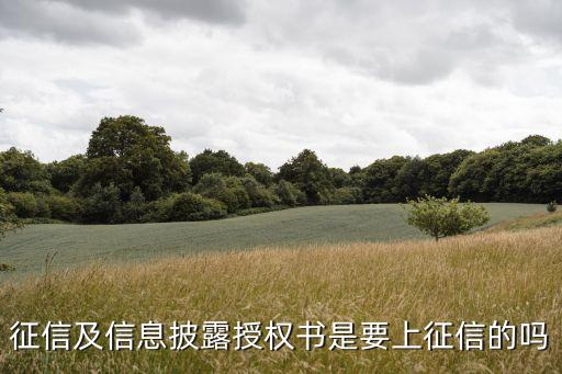 機(jī)構(gòu)征信授權(quán)書(shū)是什么意思，個(gè)人征信業(yè)務(wù)授權(quán)書(shū)是什么