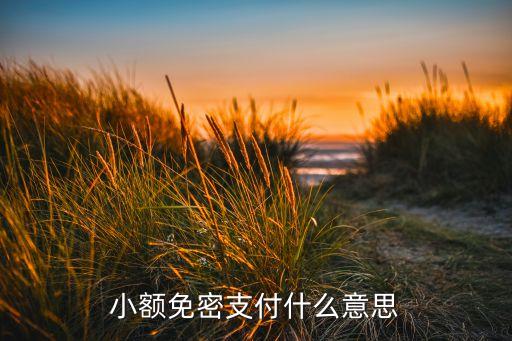 農(nóng)行無密支付是什么意思，免密支付是什么意思