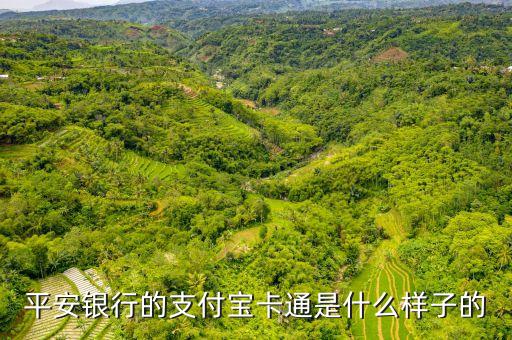 平安銀行的支付寶卡通是什么樣子的