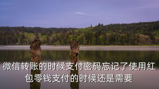 微信轉(zhuǎn)賬的支付密碼是什么密碼是什么情況，微信轉(zhuǎn)賬的時候支付密碼忘記了使用紅包零錢支付的時候還是需要