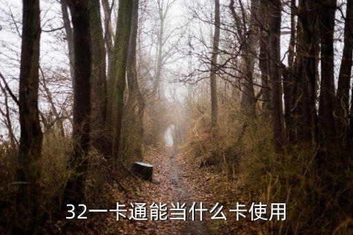 32一卡通能當(dāng)什么卡使用