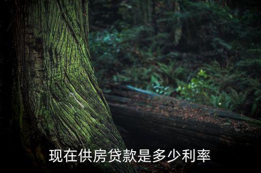 按揭房有什么貸款利率，買按揭房哪種貨款利率最便宜