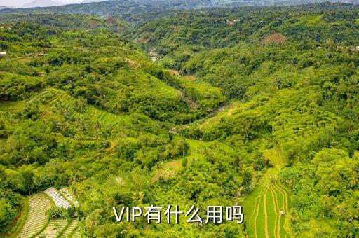 VIP有什么用嗎