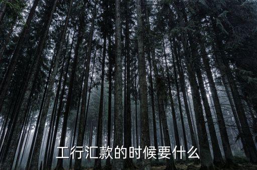 工行外匯轉(zhuǎn)賬需要什么意思，在工行柜臺辦理人民幣跨行匯款都需要提供收款方的什么信息  搜
