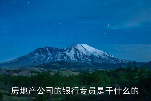 銀行專員做什么的，建行 客戶服務專員是做什么的