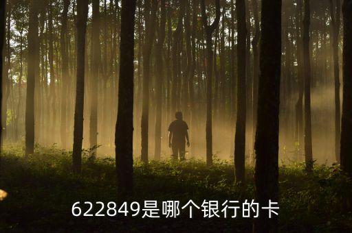 農(nóng)行622849有什么權(quán)益，622849是哪個銀行的卡
