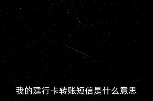 建行支付信息是什么，在手機上用建行卡交電費填支付信息該填啥